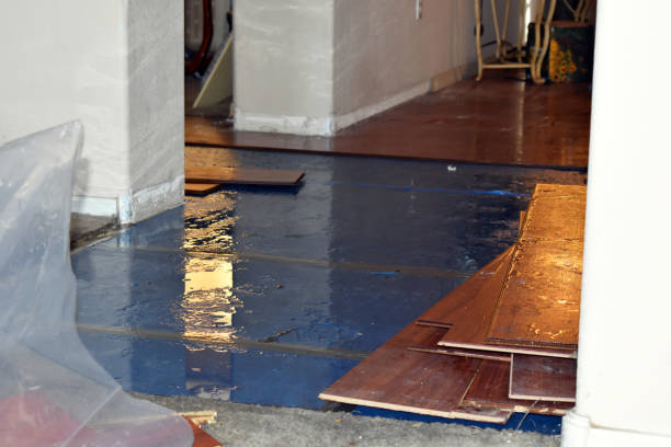 Professional Flood Damage Restoration technician working in Canton, MI